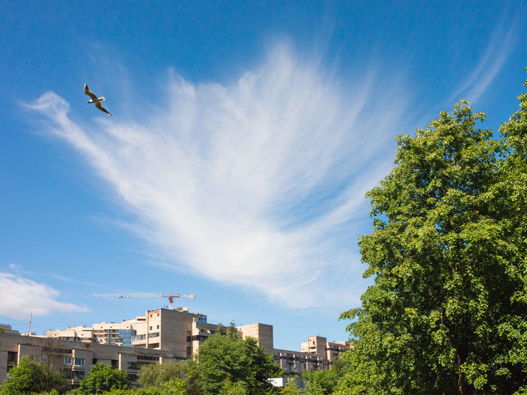 ������ ���� ����� Vitaly Konakov �� PhotoGeek.ru #������ ��� ������� #����� ��������