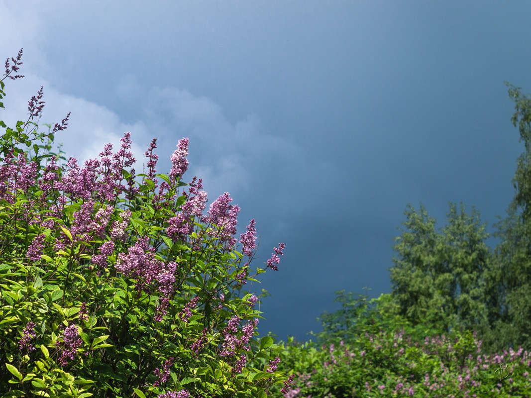 ���-��� ������� 2 ����� Vitaly Konakov �� PhotoGeek.ru #������ ��� ������� #����� ��������