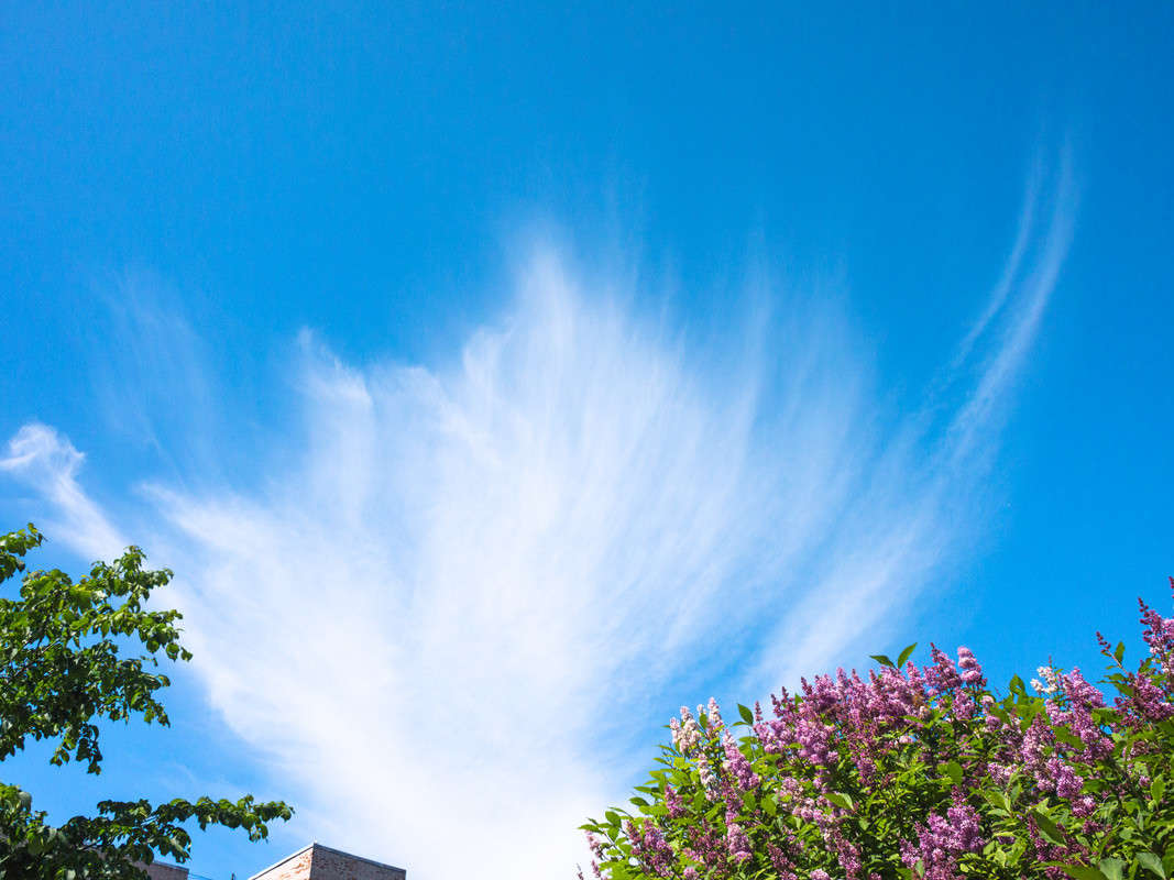 ������ ���� 2 ����� Vitaly Konakov �� PhotoGeek.ru #������ ��� ������� #����� ��������