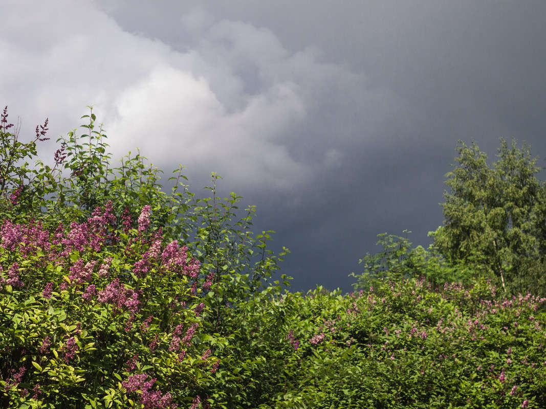 ����� ��� ����� Vitaly Konakov �� PhotoGeek.ru #������ ��� ������� #����� ��������