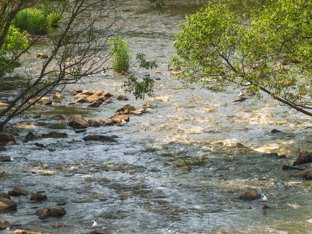 ������� � ������� ����� Vitaly Konakov �� PhotoGeek.ru #������ ��� ������� #����� ��������