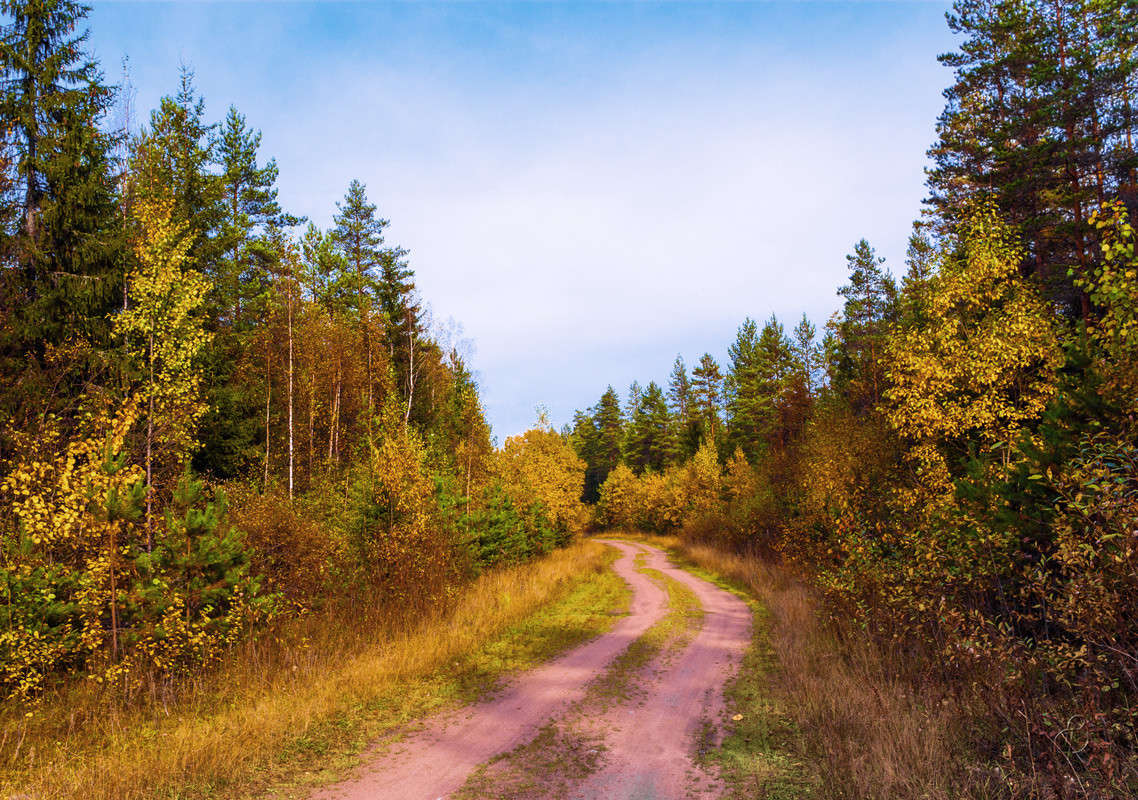 ������ ������ ����� Vitaly Konakov �� PhotoGeek.ru #������ ��� ������� #����� ��������