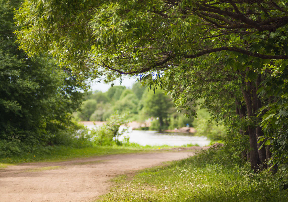 ������ ���� � ����� ����� Vitaly Konakov �� PhotoGeek.ru #������ ��� ������� #����� ��������