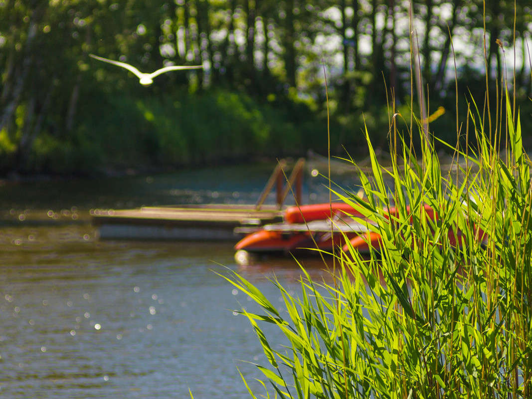 ������ ���� � ����� ����� Vitaly Konakov �� PhotoGeek.ru #������ ��� ������� #����� ��������