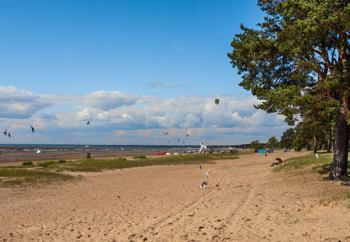 �� ������ ������ ����� Vitaly Konakov �� PhotoGeek.ru #������ ��� ������� #����� ��������