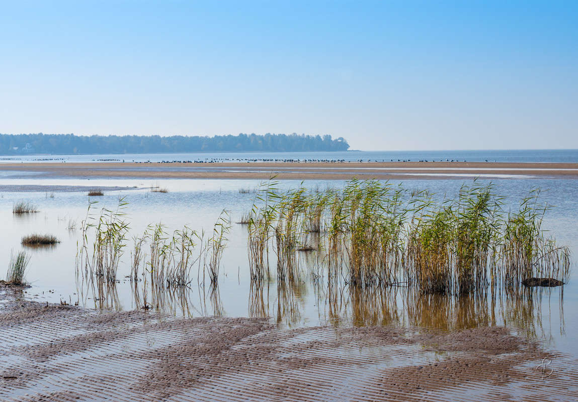 ������� ����� ����� Vitaly Konakov �� PhotoGeek.ru #������ ��� ������� #����� ��������