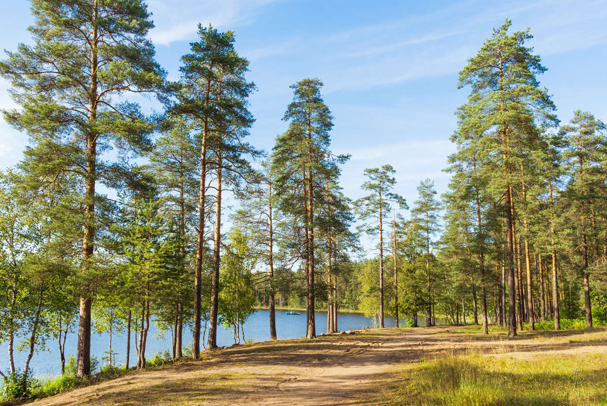 ������ ����� 3 ����� Vitaly Konakov �� PhotoGeek.ru #������ ��� ������� #����� ��������