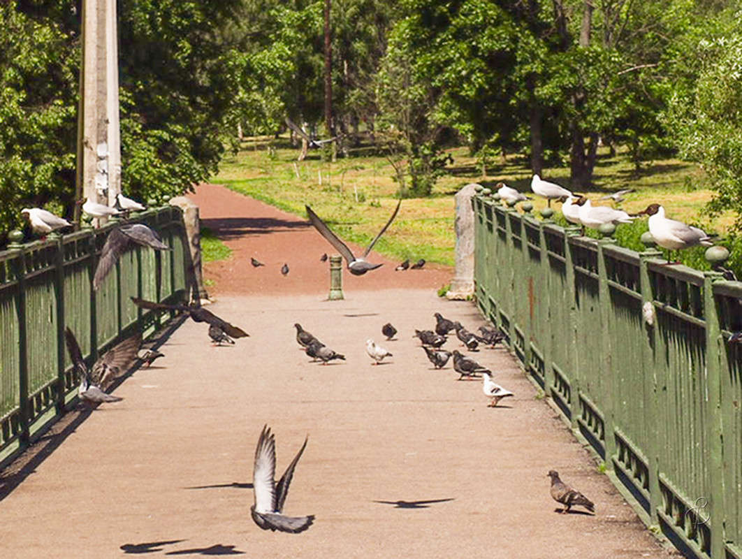 ������� ����� Vitaly Konakov �� PhotoGeek.ru #�������� ��� #����� ��� ��� ���������