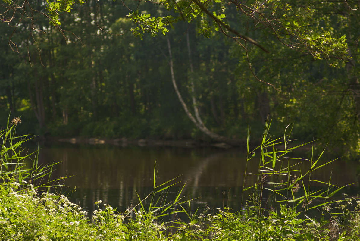 ������ ���� � ����� ����� Vitaly Konakov �� PhotoGeek.ru #������ ��� ������� #����� ��������