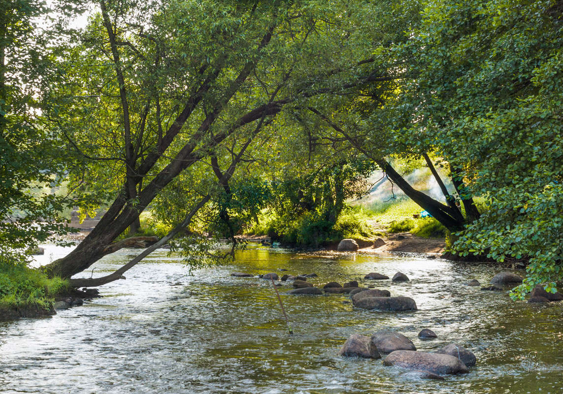 ������ ���� �� ������� ����� Vitaly Konakov �� PhotoGeek.ru #������ ��� ������� #����� ��������