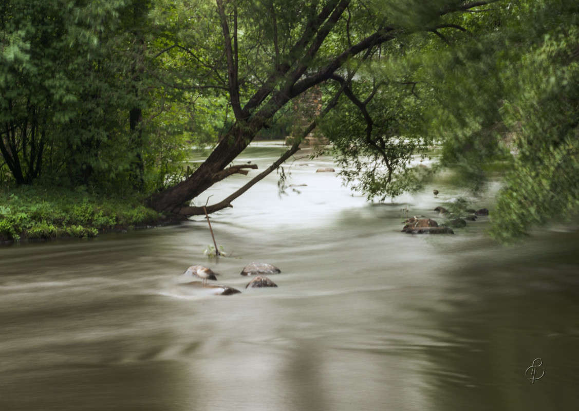 ����� �������� � �� �������� ����� Vitaly Konakov �� PhotoGeek.ru #������ ��� ������� #����� ��������