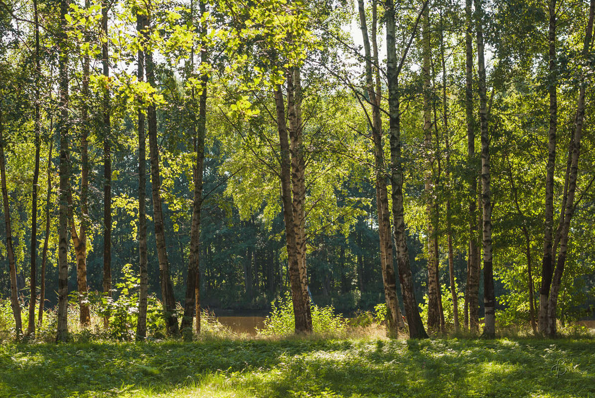 �� ������ ����� ����� Vitaly Konakov �� PhotoGeek.ru #������ ��� ������� #����� ��������