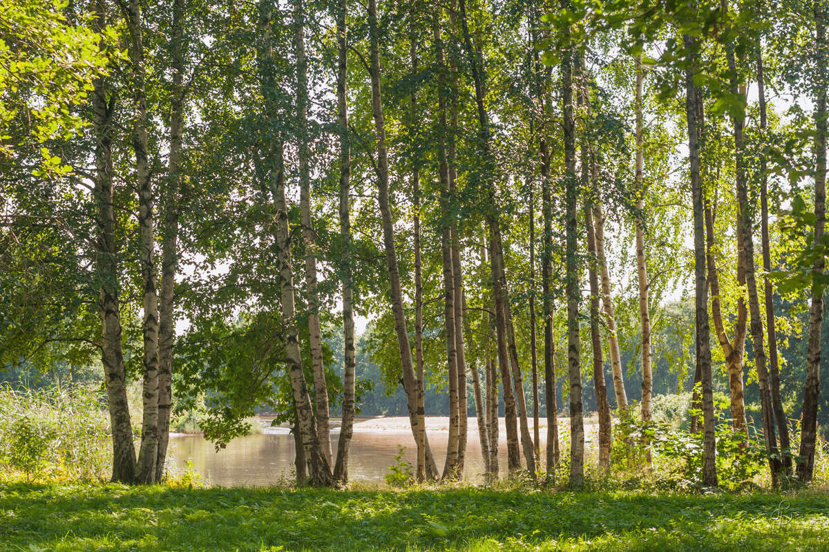 �� ������ ����� 2 ����� Vitaly Konakov �� PhotoGeek.ru #������ ��� ������� #����� ��������