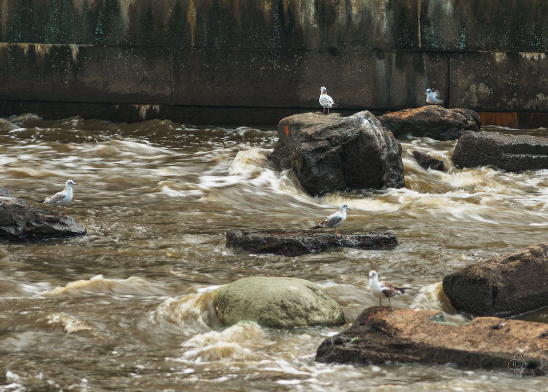 �� ��������� ����� Vitaly Konakov �� PhotoGeek.ru #������ ��� ������� #����� ��������