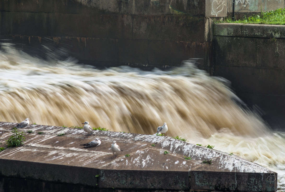 �� ���������� ����� Vitaly Konakov �� PhotoGeek.ru #������ ��� ������� #����� ��������