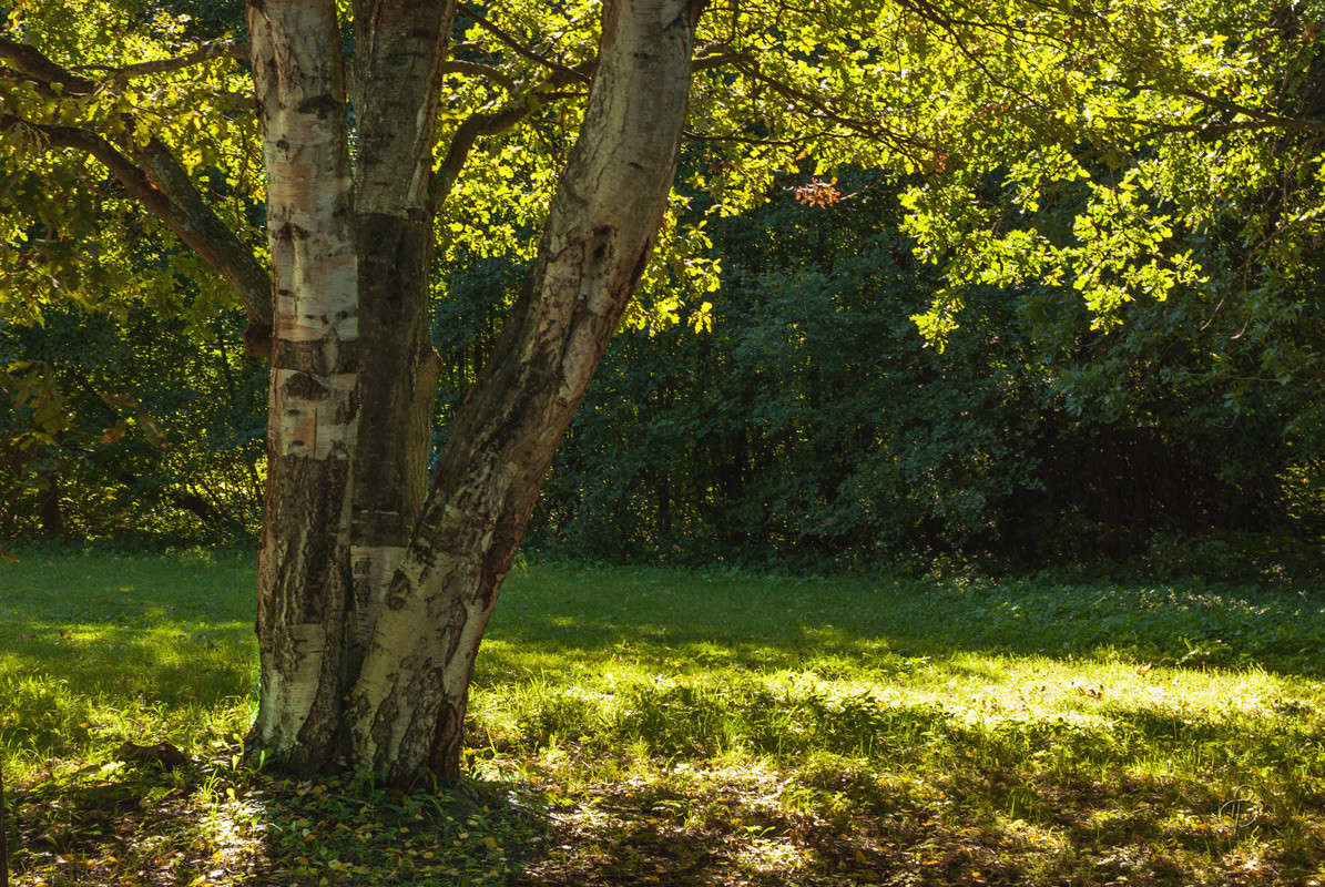 ������ ���� 4 ����� Vitaly Konakov �� PhotoGeek.ru #������ ��� ������� #����� ��������