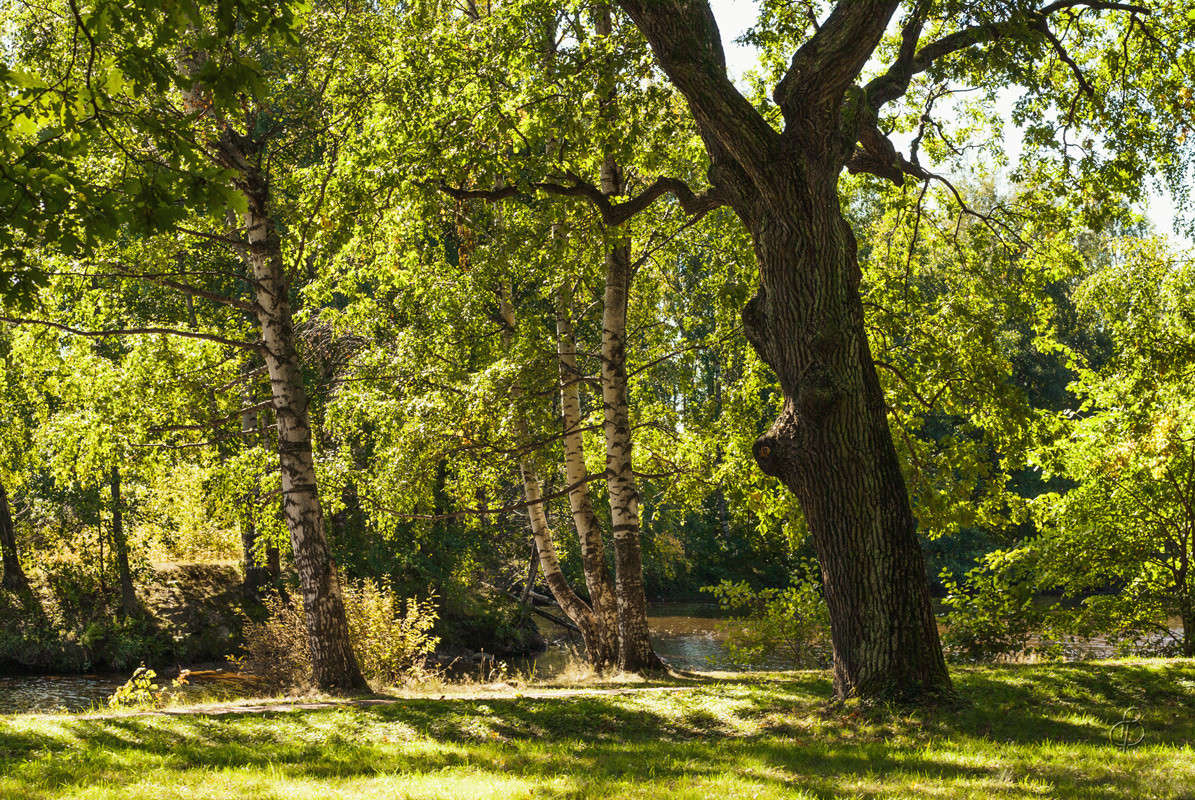 ������ ���� 5 ����� Vitaly Konakov �� PhotoGeek.ru #������ ��� ������� #����� ��������