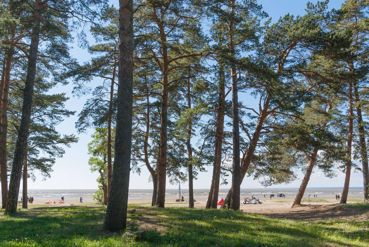 ... ����� Vitaly Konakov �� PhotoGeek.ru #������ ��� ������� #����� ��������