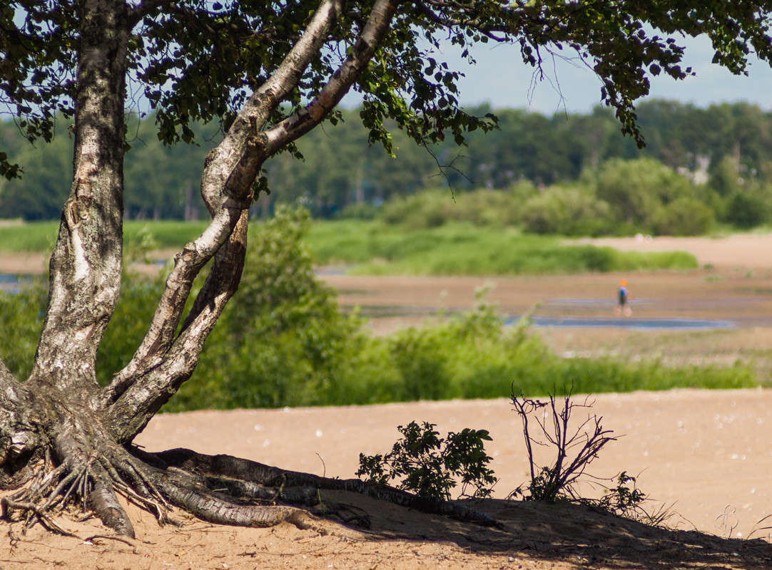 �� ������ ����� Vitaly Konakov �� PhotoGeek.ru #������ ��� ������� #����� ��������