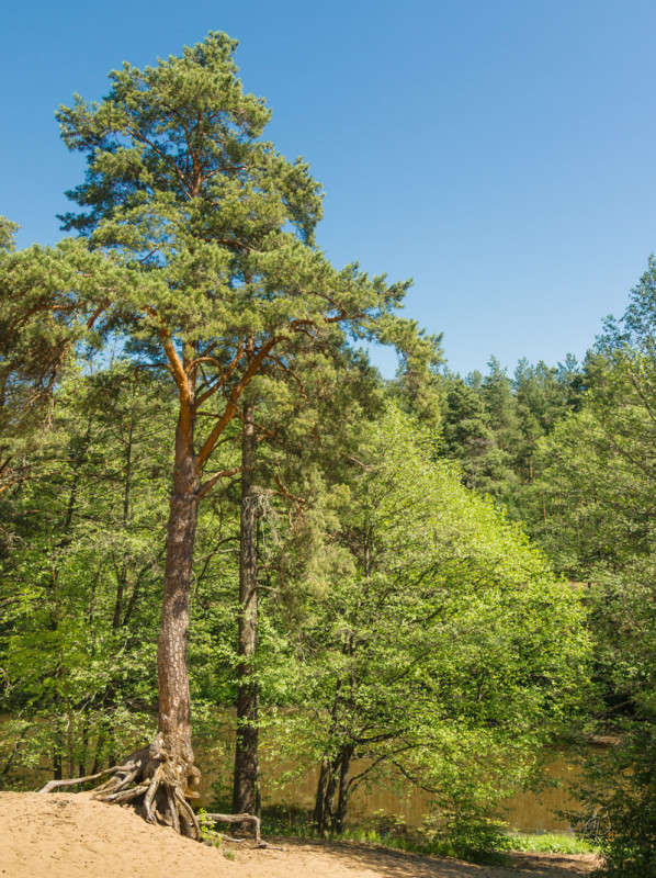 �� ���� ������ ����� Vitaly Konakov �� PhotoGeek.ru #������ ��� ������� #����� ��������