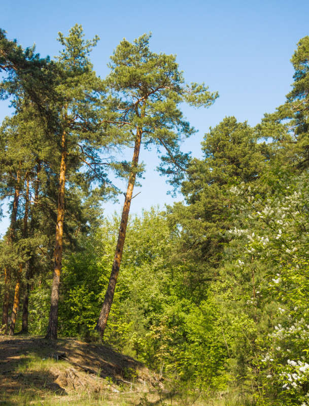 �� ���� ������ 2 ����� Vitaly Konakov �� PhotoGeek.ru #������ ��� ������� #����� ��������