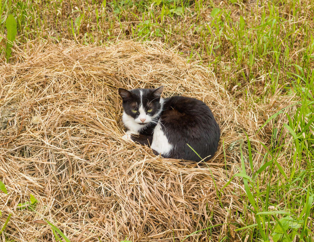 ������� ��� ����� ����� Vitaly Konakov �� PhotoGeek.ru #�������� ���������� #���������������