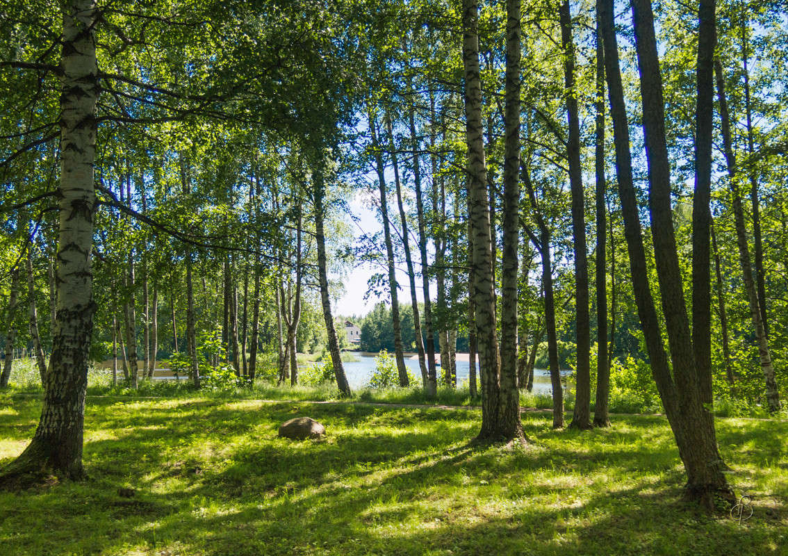 ������ ���� 6 ����� Vitaly Konakov �� PhotoGeek.ru #������ ��� ������� #����� ��������