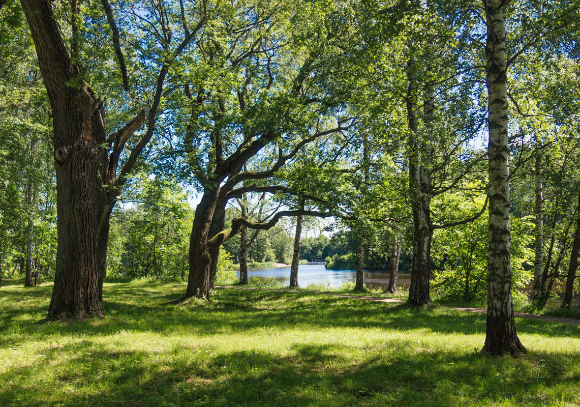 ������ ���� 7 ����� Vitaly Konakov �� PhotoGeek.ru #������ ��� ������� #����� ��������