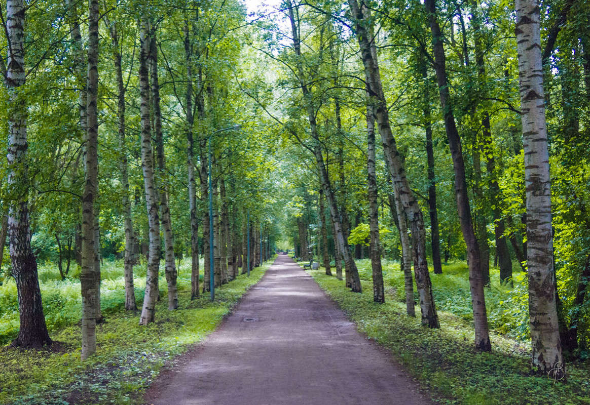 �������� ����� ����� Vitaly Konakov �� PhotoGeek.ru #������ ��� ������� #����� ��������