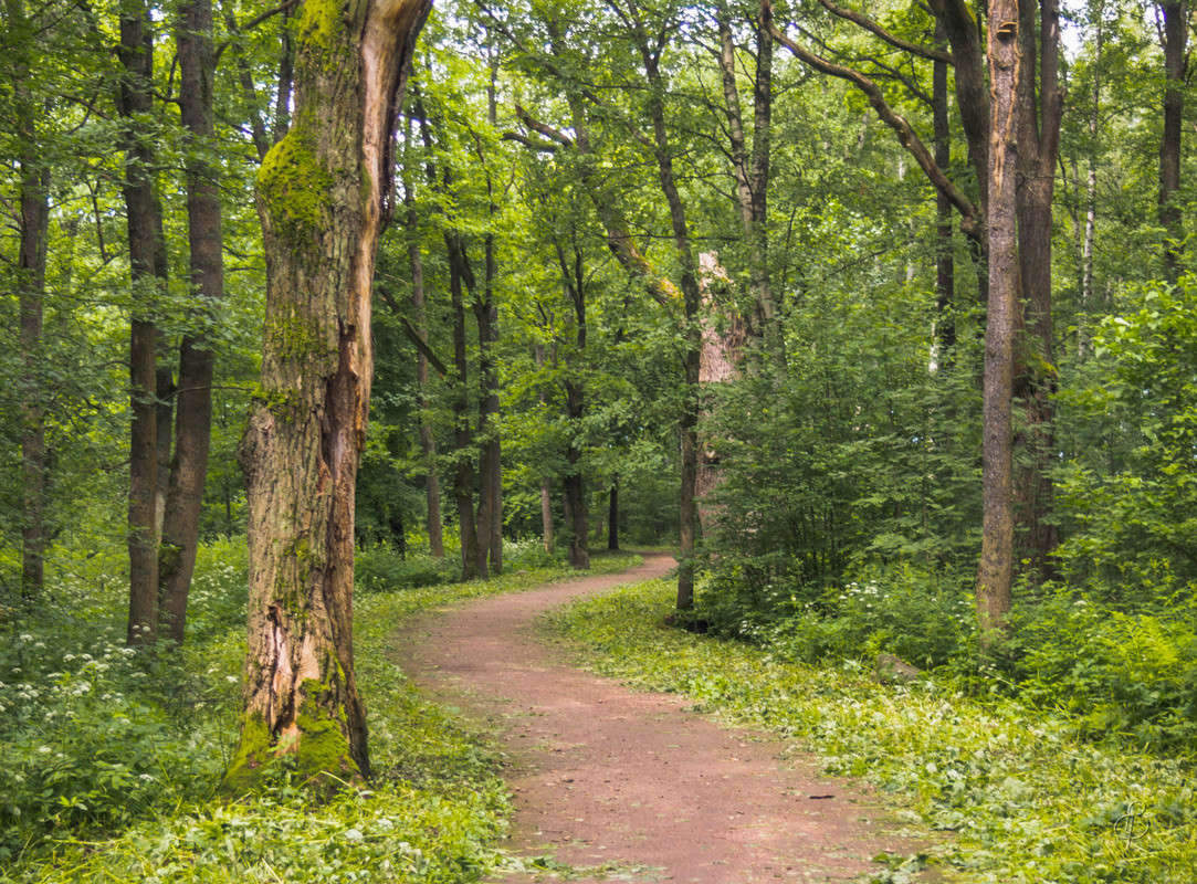 ����� ������� ����� ����� Vitaly Konakov �� PhotoGeek.ru #������ ��� ������� #����� ��������