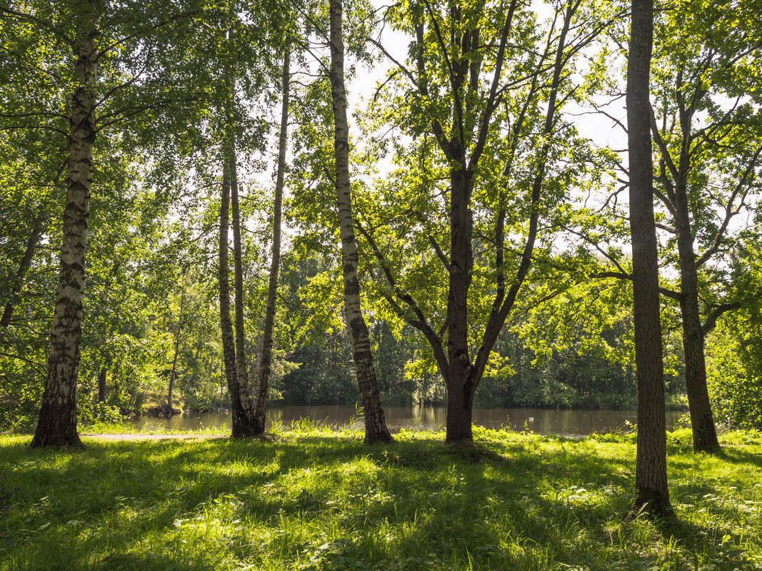 ������ ���� 9 ����� Vitaly Konakov �� PhotoGeek.ru #������ ��� ������� #����� ��������