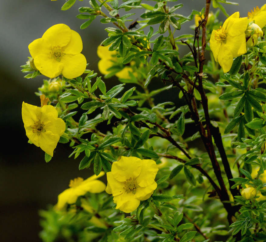 *** ����� Vitaly Konakov �� PhotoGeek.ru #��������� #���������������