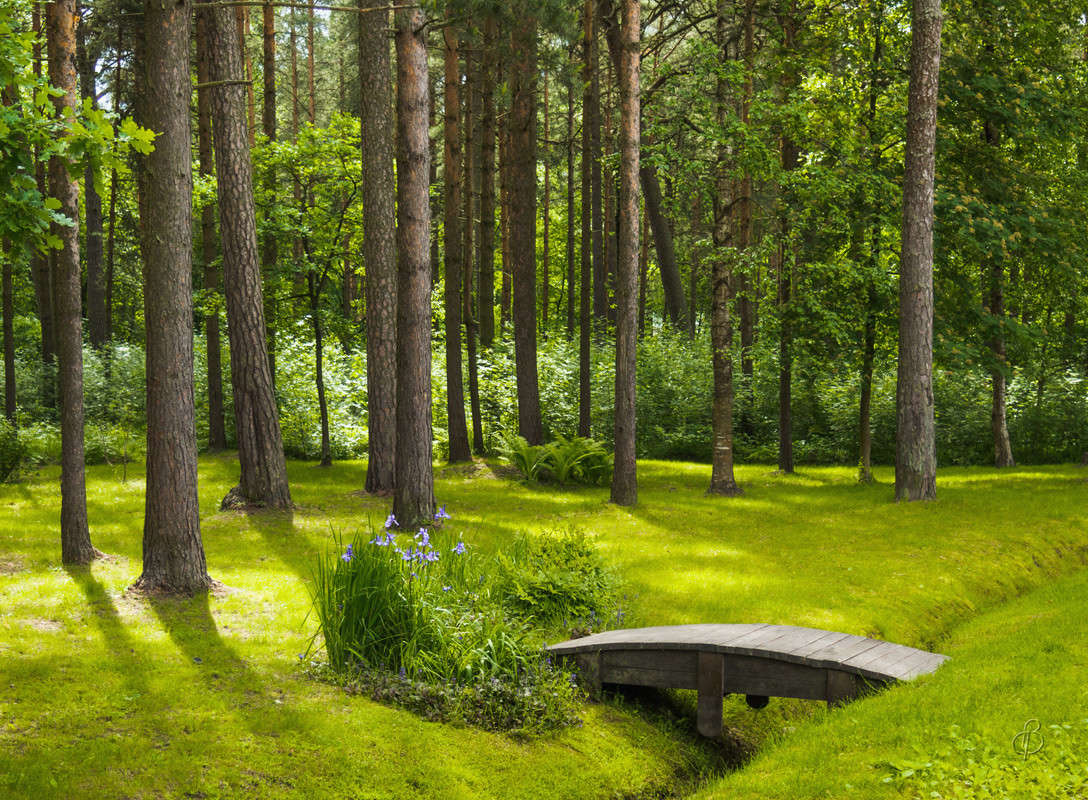 ������ ������� ����� ����� Vitaly Konakov �� PhotoGeek.ru #������ ��� ������� #����� ��������