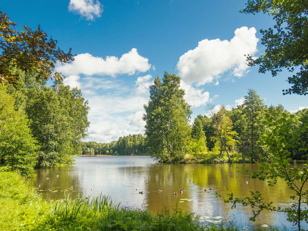 �������� ���� ����� Vitaly Konakov �� PhotoGeek.ru #������ ��� ������� #����� ��������