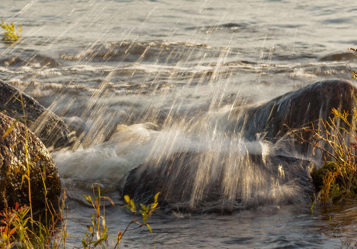 ���� ������ ����� ����� Vitaly Konakov �� PhotoGeek.ru #������ ��� ������� #����� ��������