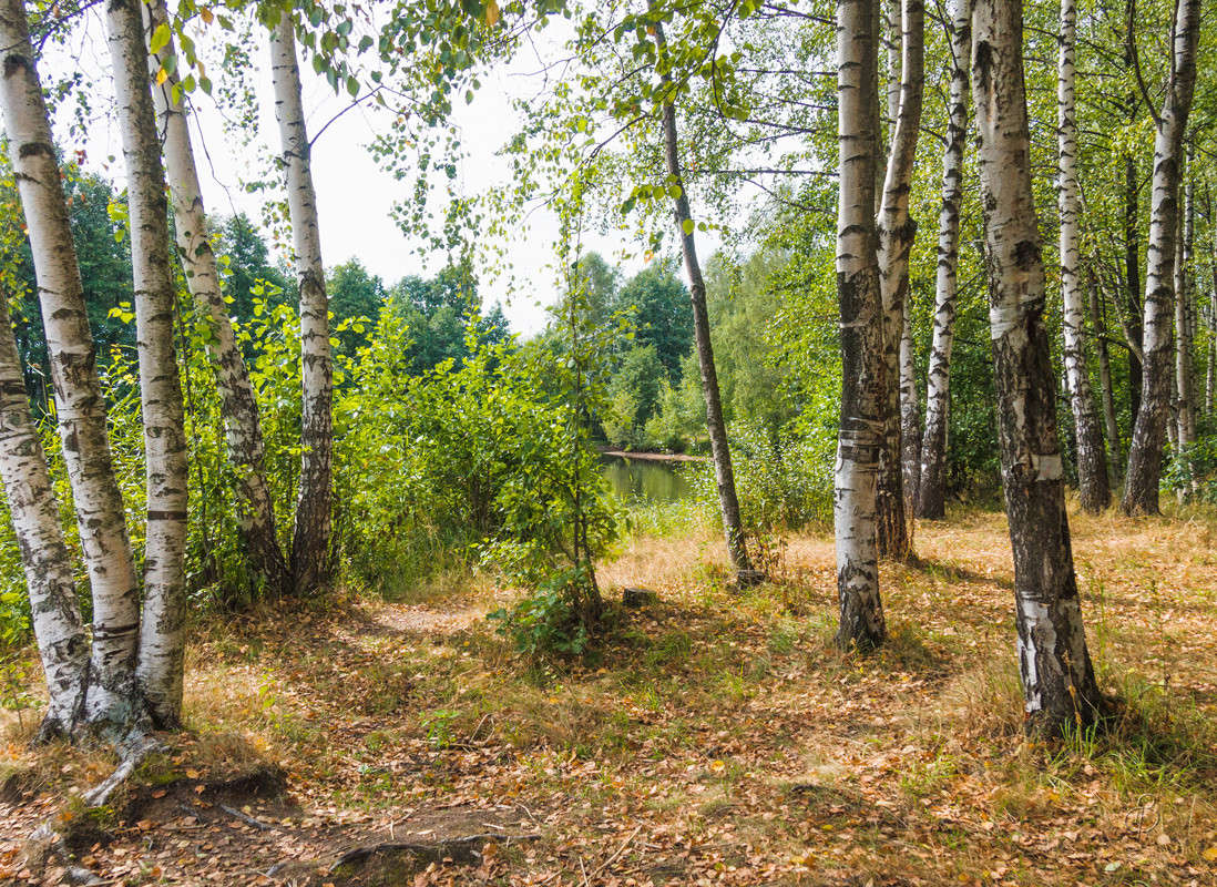 ������ ���� ����� Vitaly Konakov �� PhotoGeek.ru #������ ��� ������� #����� ��������