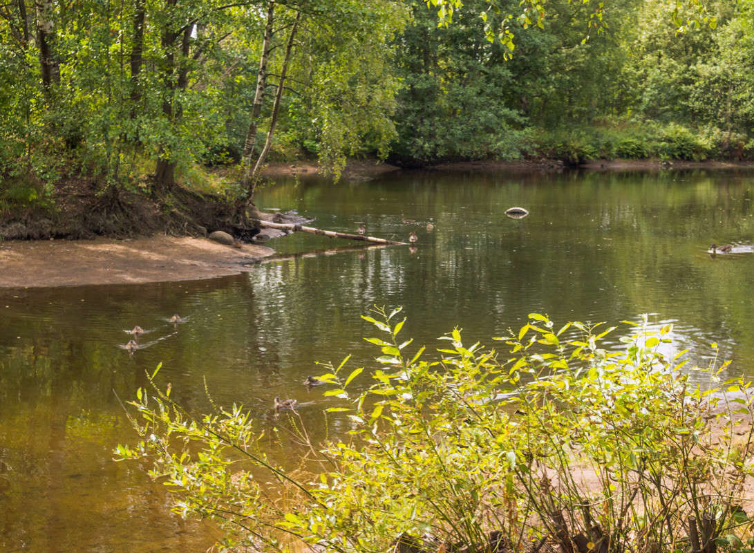 �������� ���� 3 ����� Vitaly Konakov �� PhotoGeek.ru #������ ��� ������� #����� ��������