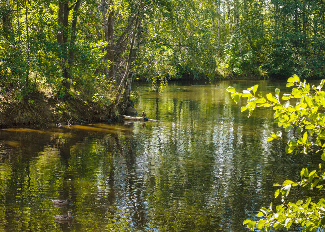 ������ ���� 2 ����� Vitaly Konakov �� PhotoGeek.ru #������ ��� ������� #����� ��������