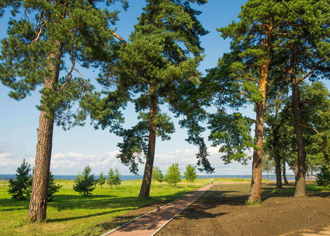 ������� � ������ ����� Vitaly Konakov �� PhotoGeek.ru #������ ��� ������� #����� ��������