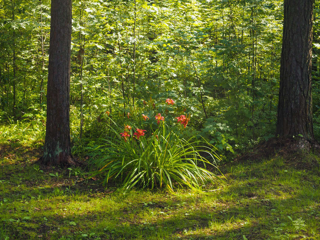 ������ ������� ����� 2 ����� Vitaly Konakov �� PhotoGeek.ru #������ ��� ������� #����� ��������