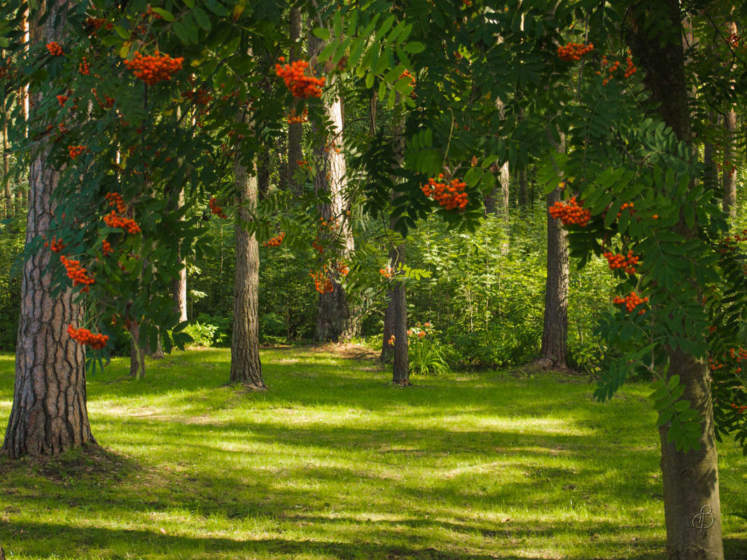 ������ ������� ����� 3 ����� Vitaly Konakov �� PhotoGeek.ru #������ ��� ������� #����� ��������