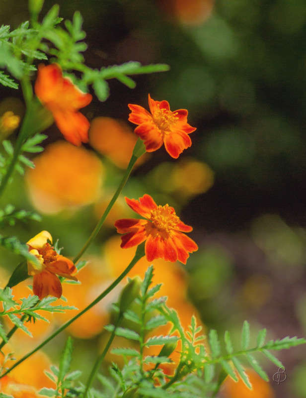 ������� ����� Vitaly Konakov �� PhotoGeek.ru #��������� #���������������