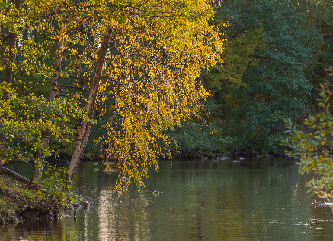 �������� ���� ����� Vitaly Konakov �� PhotoGeek.ru #������ ��� ������� #����� ��������