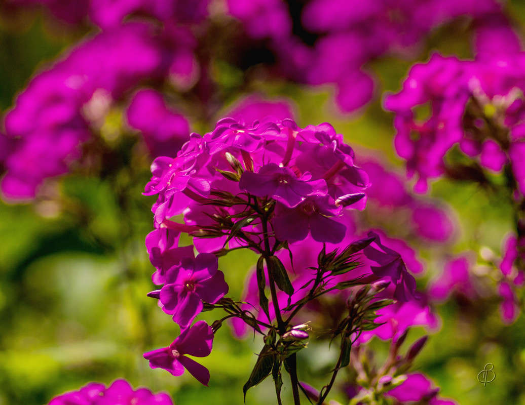 *** ����� Vitaly Konakov �� PhotoGeek.ru #��������� #���������������