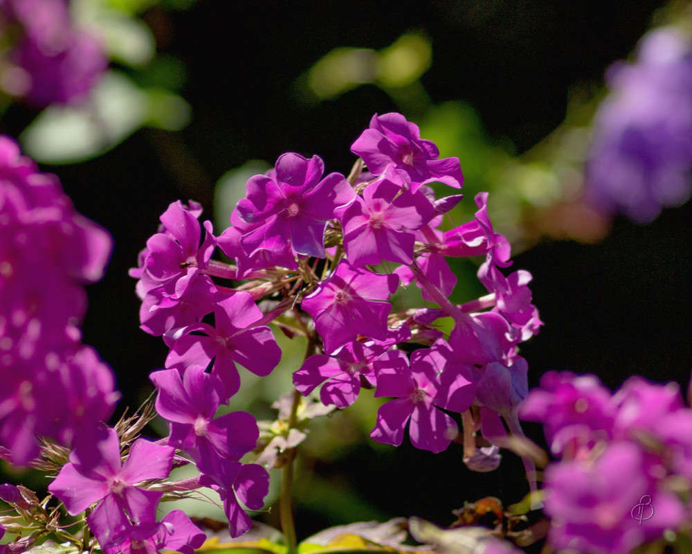 *** ����� Vitaly Konakov �� PhotoGeek.ru #��������� #���������������