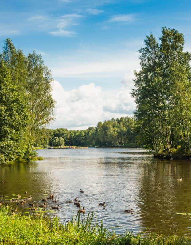 �������������� ���� ����� Vitaly Konakov �� PhotoGeek.ru #������ ��� ������� #����� ��������