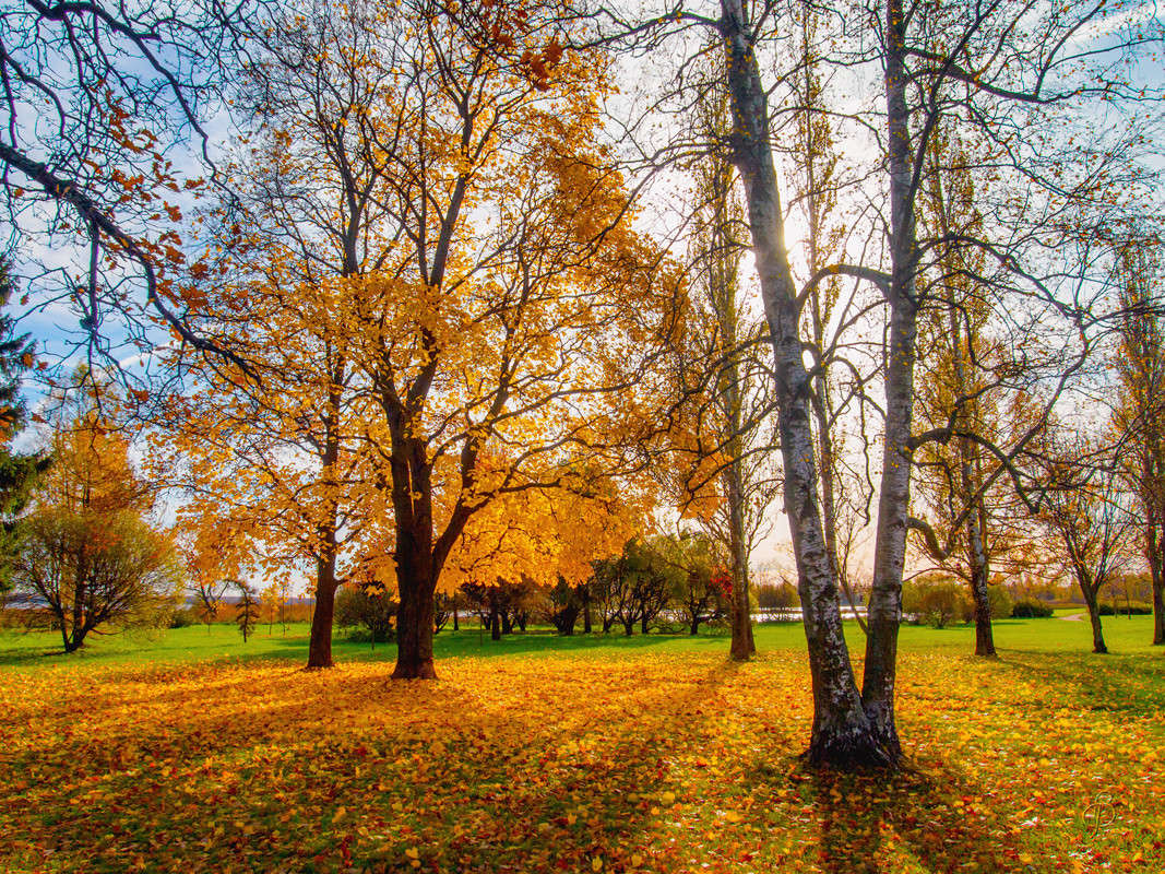 ����� �� ������� ����� Vitaly Konakov �� PhotoGeek.ru #������ ��� ������� #����� ��������