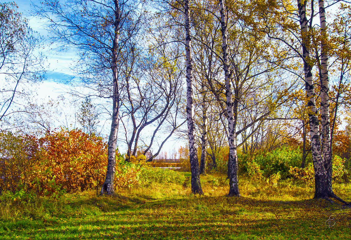 ����� �� ������� 2 ����� Vitaly Konakov �� PhotoGeek.ru #������ ��� ������� #����� ��������