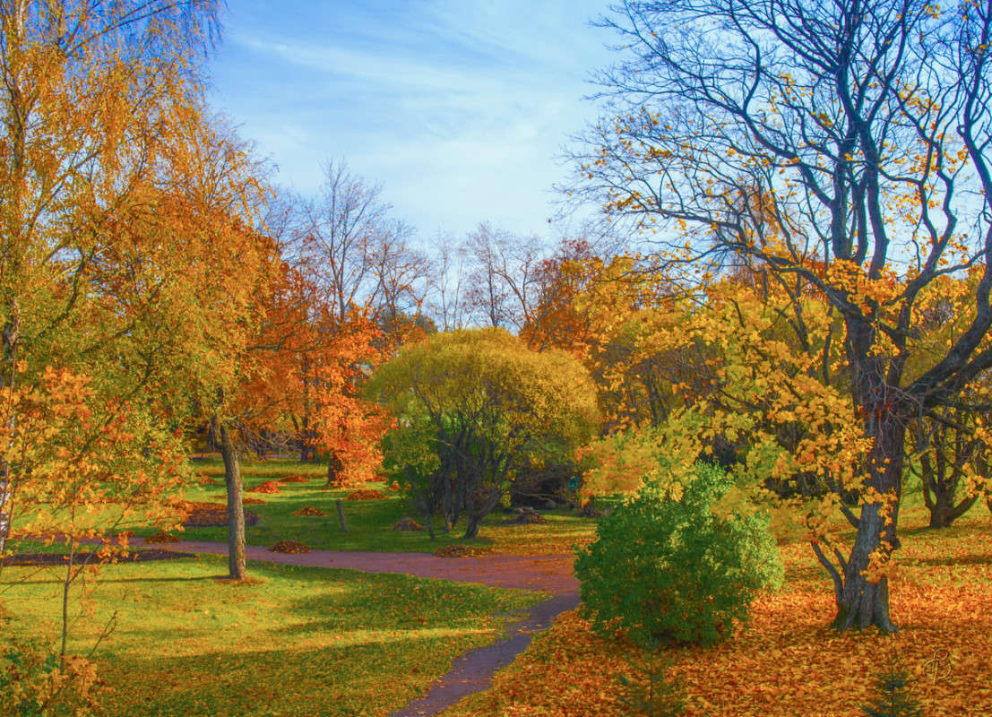 ����� �� �������� ������� ����� Vitaly Konakov �� PhotoGeek.ru #������ ��� ������� #����� ��������