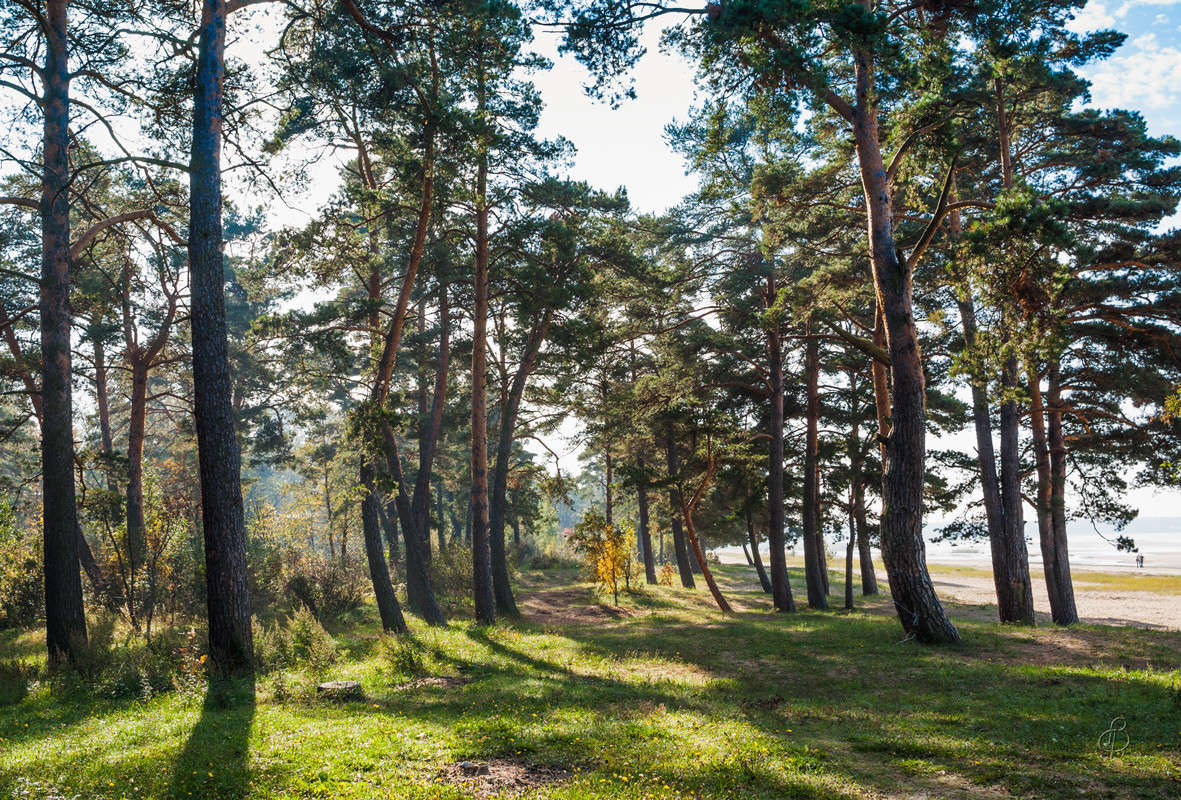 ����� 2��� � �� ����� Vitaly Konakov �� PhotoGeek.ru #������ ��� ������� #����� ��������